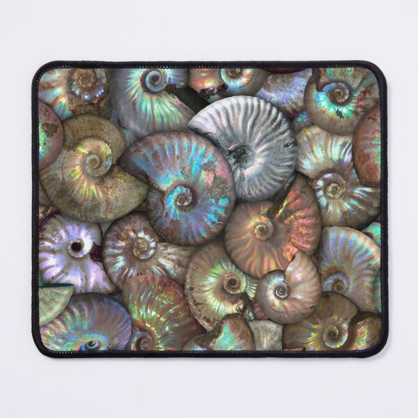 Item preview, 66 Million Years in the making designed and sold by dinaaaaaah.