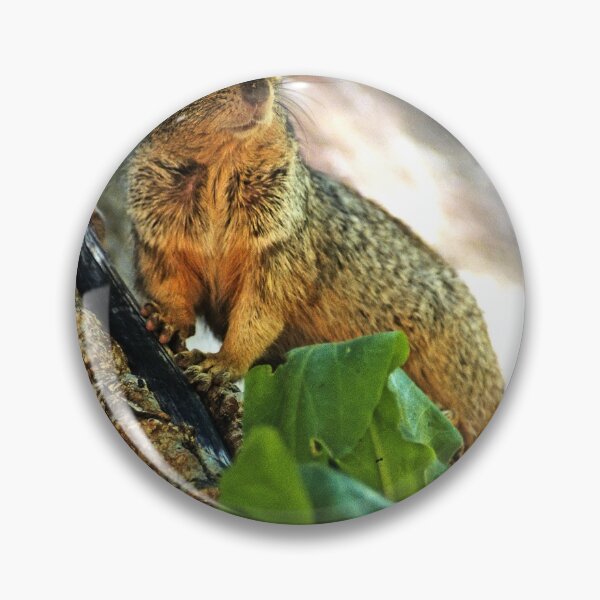 Item preview, Haughty  (Bryant’s fox squirrel) designed and sold by paolo1955.