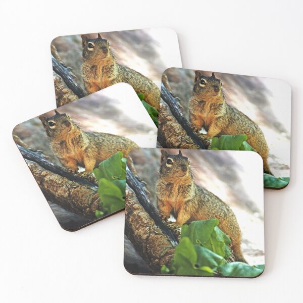 Item preview, Haughty  (Bryant’s fox squirrel) designed and sold by paolo1955.