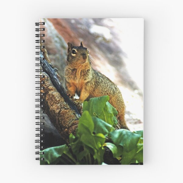 Item preview, Haughty  (Bryant’s fox squirrel) designed and sold by paolo1955.
