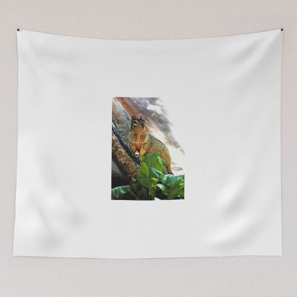 Item preview, Haughty  (Bryant’s fox squirrel) designed and sold by paolo1955.