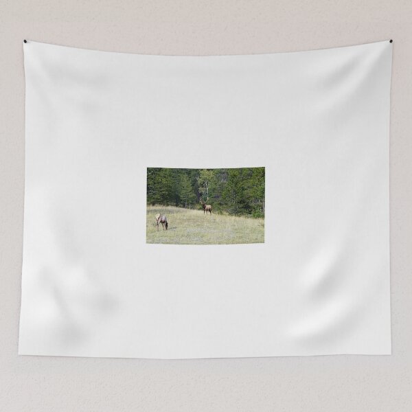 Item preview, The Warden - Bull Elk and Cow designed and sold by paolo1955.