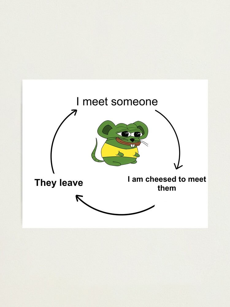 "Cheesed to meet you meme " Photographic Print by PepperArtsy Redbubble