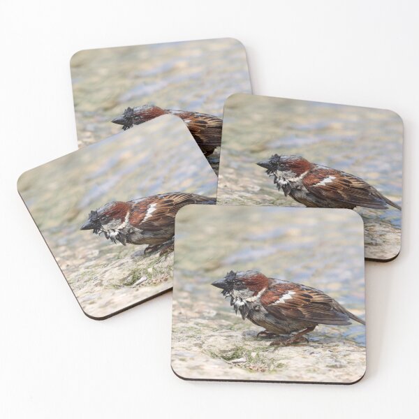 Item preview, Soggy sparrow designed and sold by GreyFeatherPhot.