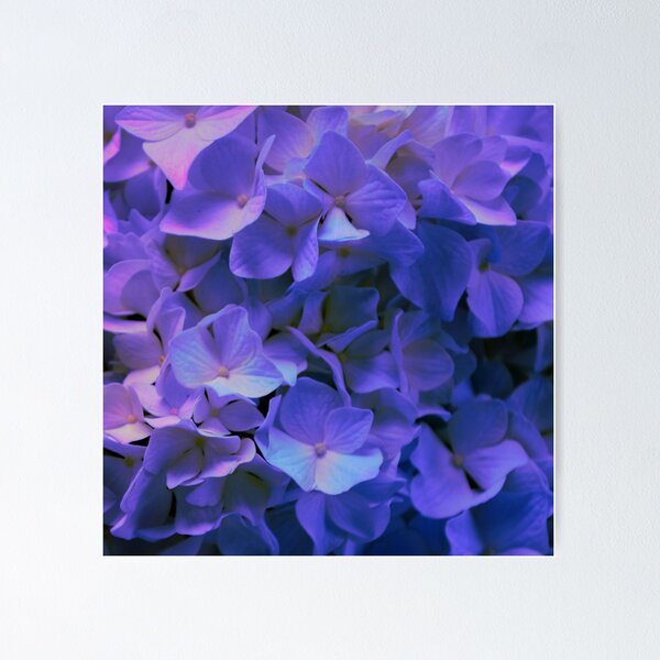 Item preview, Very peri periwinkle floral | purple blue hydrangeas  designed and sold by hollycooper.