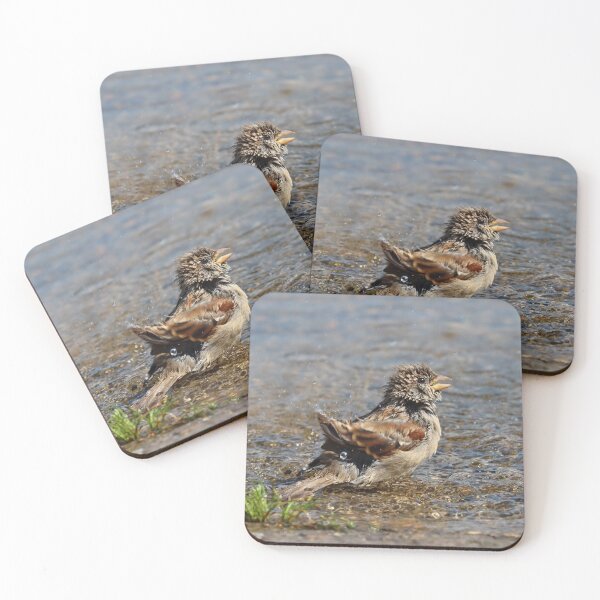 Item preview, Juvenile house sparrow designed and sold by GreyFeatherPhot.