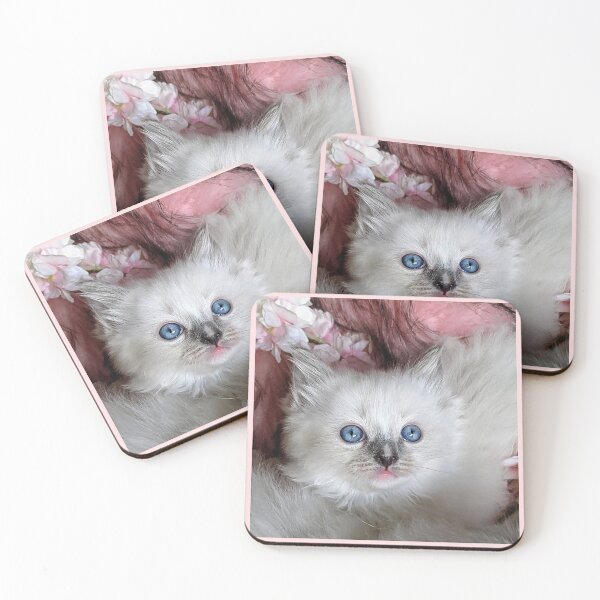 Item preview, Copy of Ragdoll kitten designed and sold by Fluffycat2020.