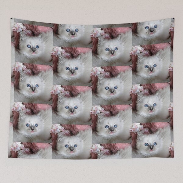 Item preview, Copy of Ragdoll kitten designed and sold by Fluffycat2020.