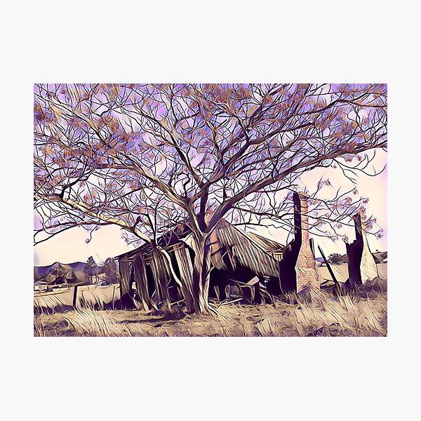 Photographic Print