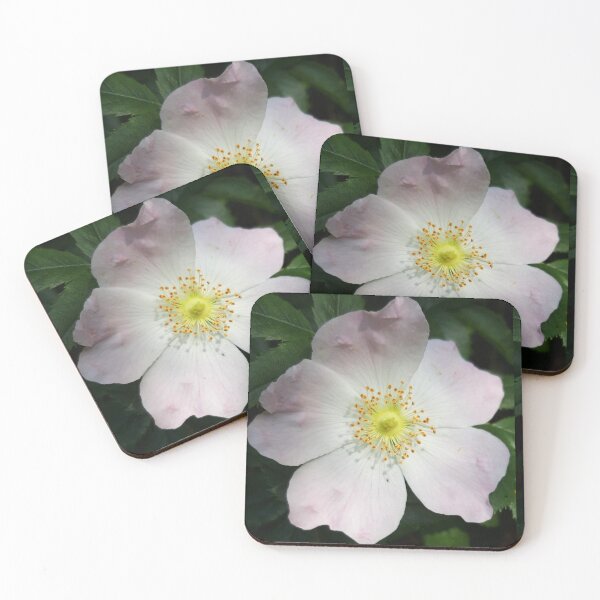 Item preview, Wild Rose. designed and sold by amanda150771.