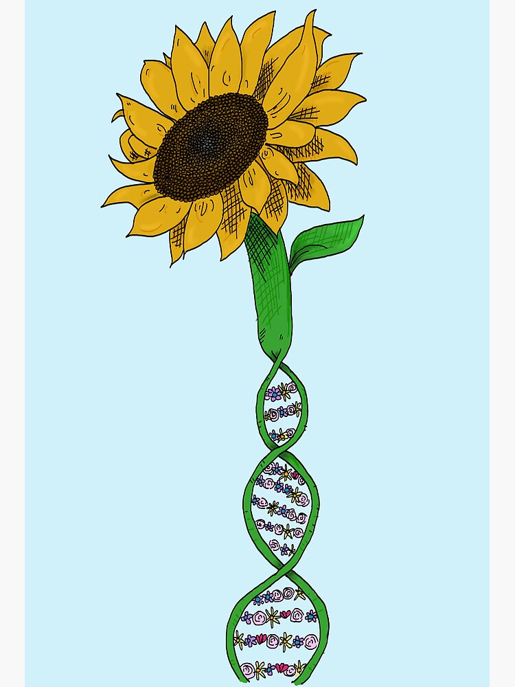 Lámina rígida «ADN de girasol» de greeneggsandcam | Redbubble