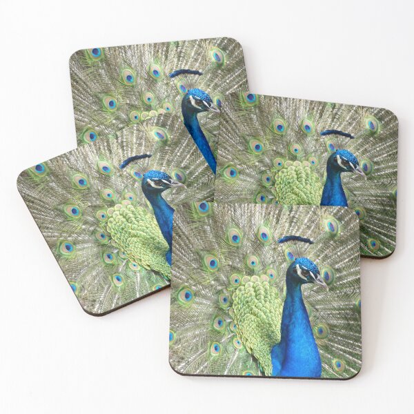 Item preview, Peacock (Photo by Gary Lovelace) designed and sold by Gary Lovelace.