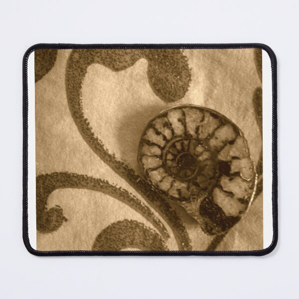 Item preview, Ammonite Fossil designed and sold by angel1.