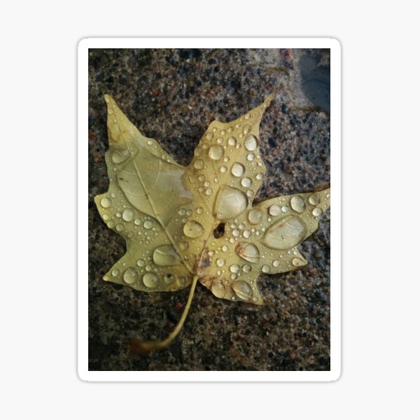 Item preview, Autumn's Rain designed and sold by CelticMutt.