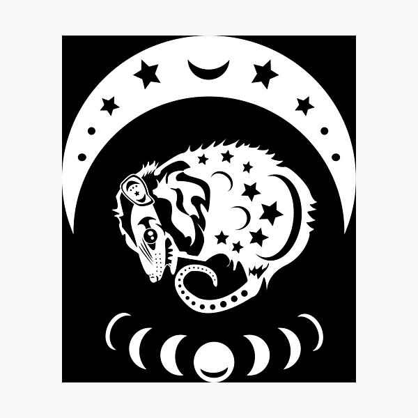 Item preview, Witchy Opossum Vibes designed and sold by beerhamster.