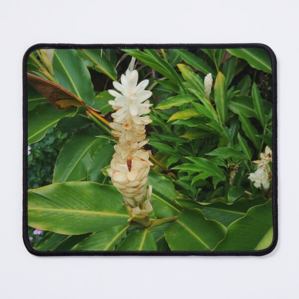 Item preview, Beautiful White Teuila designed and sold by Ayurveda Fun Store.