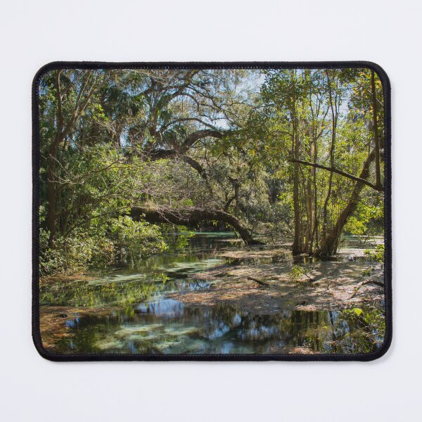Item preview, Rainbow Springs designed and sold by NestOfStone.