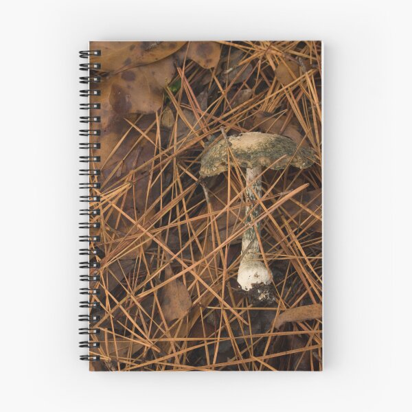 Item preview, Mushroom designed and sold by NestOfStone.