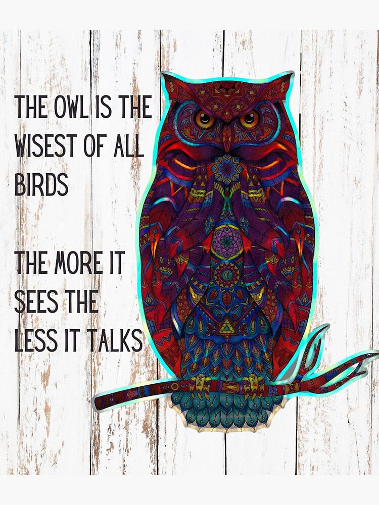 "The owl is the wisest of all birds" Sticker by BearsWares Redbubble