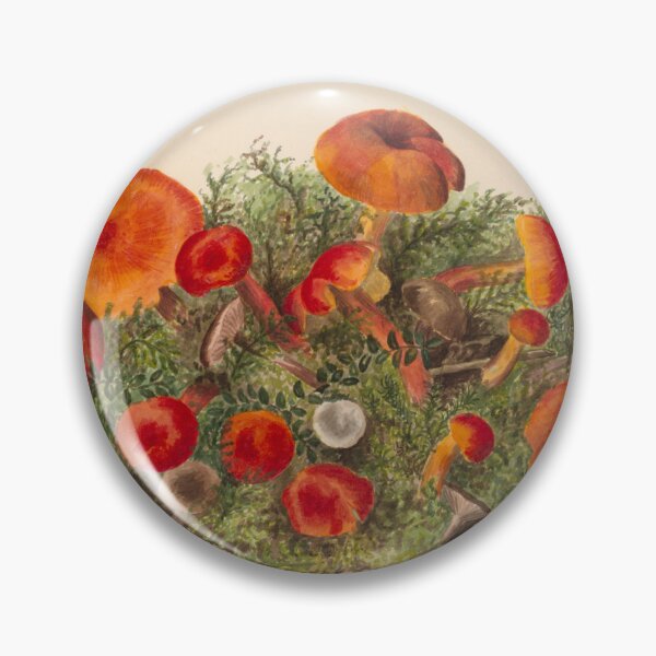 Item preview, Study of Mushrooms designed and sold by dad-jazz.