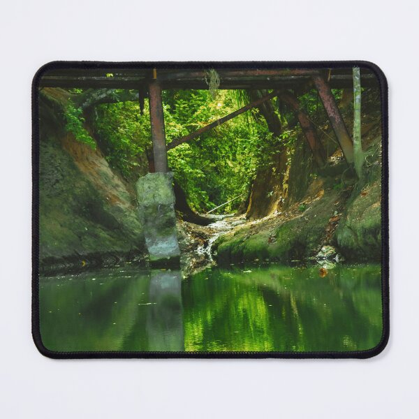 Item preview, Bridge in the forest designed and sold by fotorealo.
