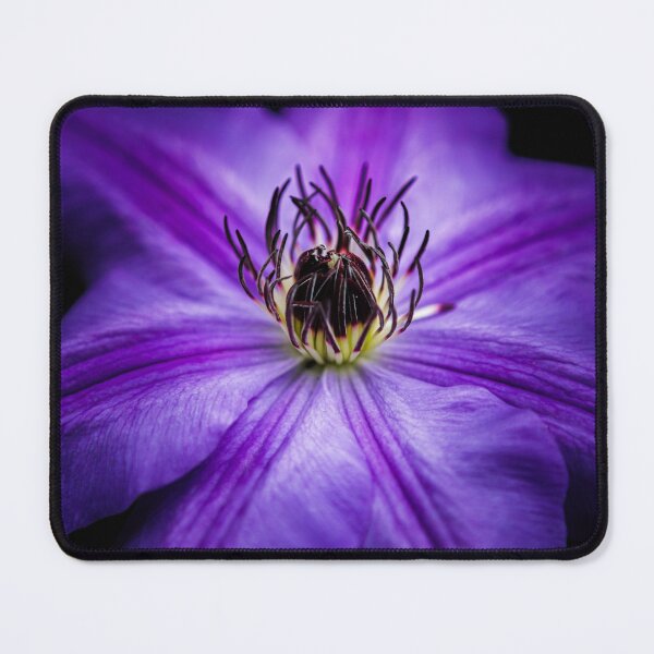 Item preview, Clematis Flower in Bloom designed and sold by Leslie Banks.