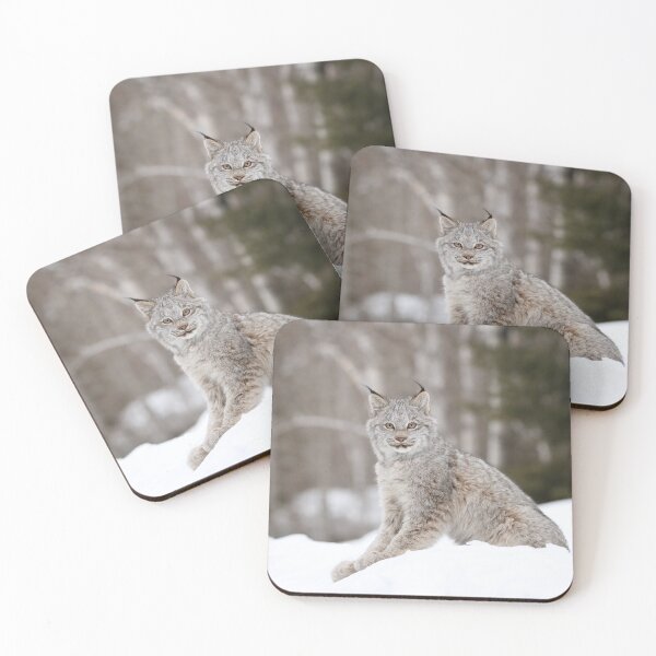 Item preview, Canada Lynx Kitten designed and sold by mlorenz.
