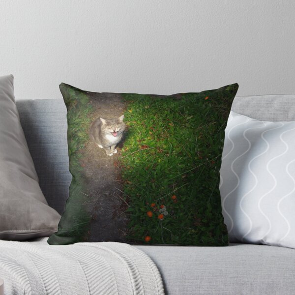 Item preview, Cat wailing on garden path at night designed and sold by turniptowers.
