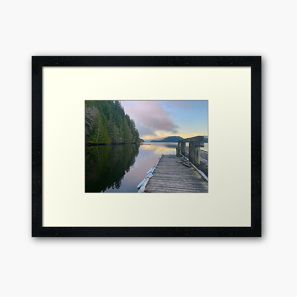 Framed Print