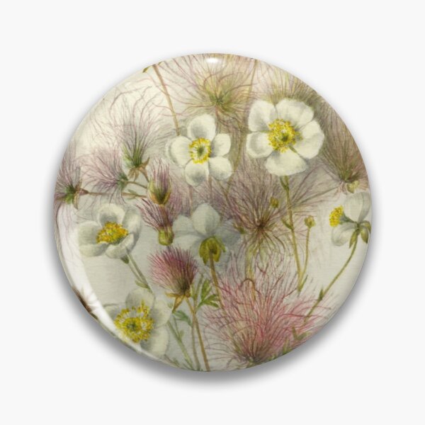 Item preview, Apache Plume (Fallugia paradoxa) designed and sold by dad-jazz.