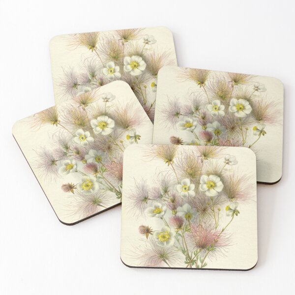 Item preview, Apache Plume (Fallugia paradoxa) designed and sold by dad-jazz.