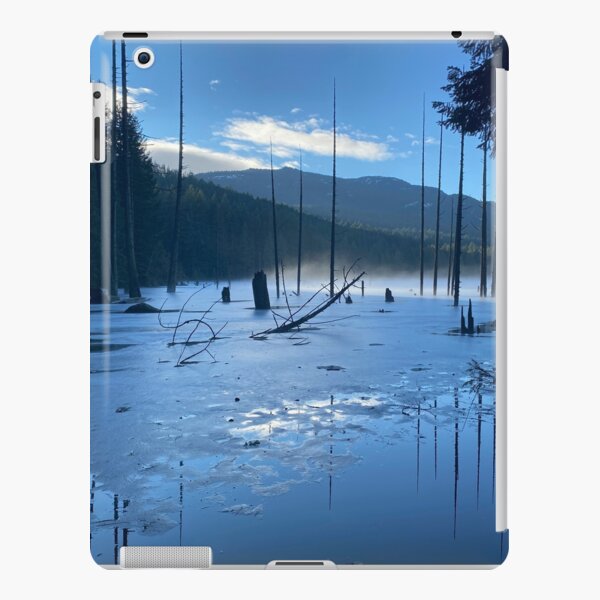 iPad Retina/3/2 - Snap