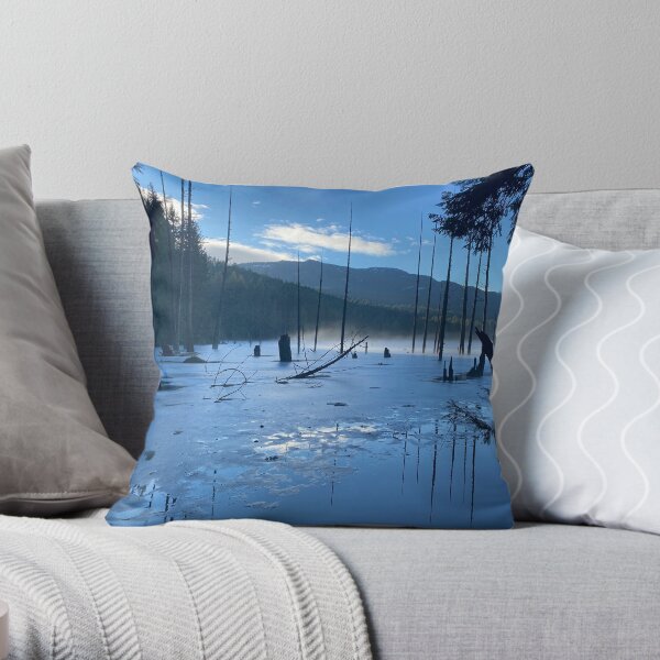 Throw Pillow