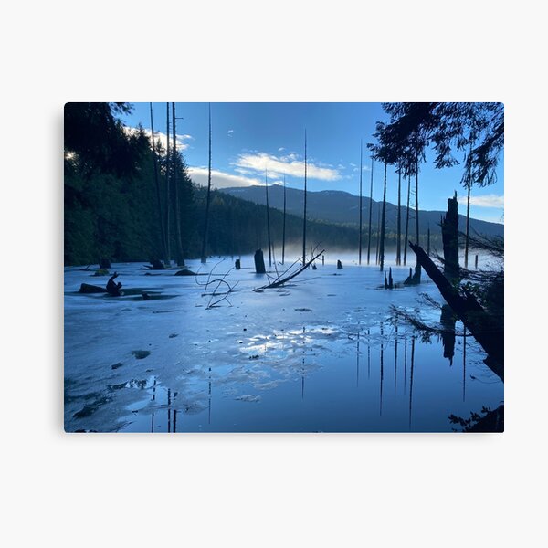 Canvas Print