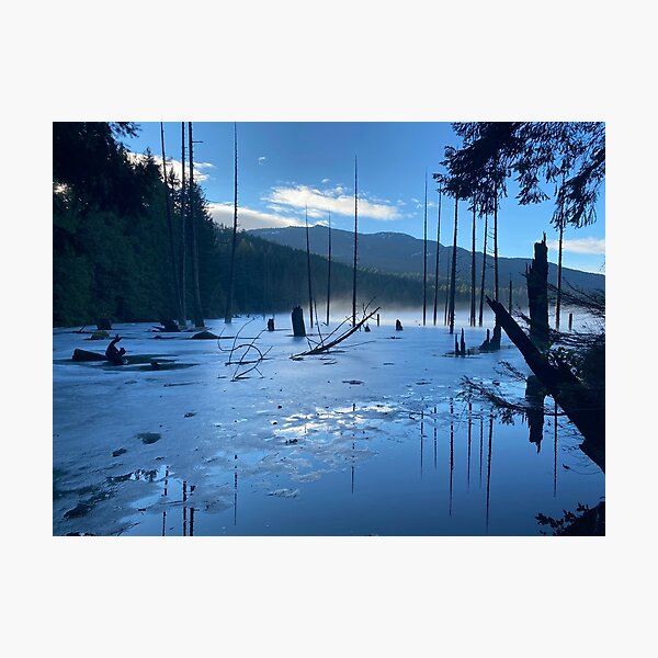 Photographic Print