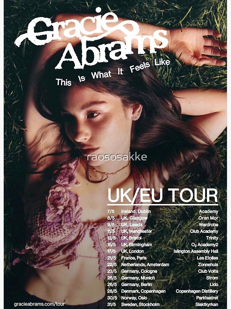 Amazon.com: Gracie Abrams Posters This Is What It Feels Like