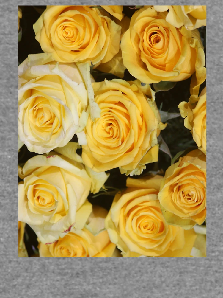 Thumbnail 6 of 6, Lightweight Sweatshirt, Yellow Roses designed and sold by ColorSpacePro.