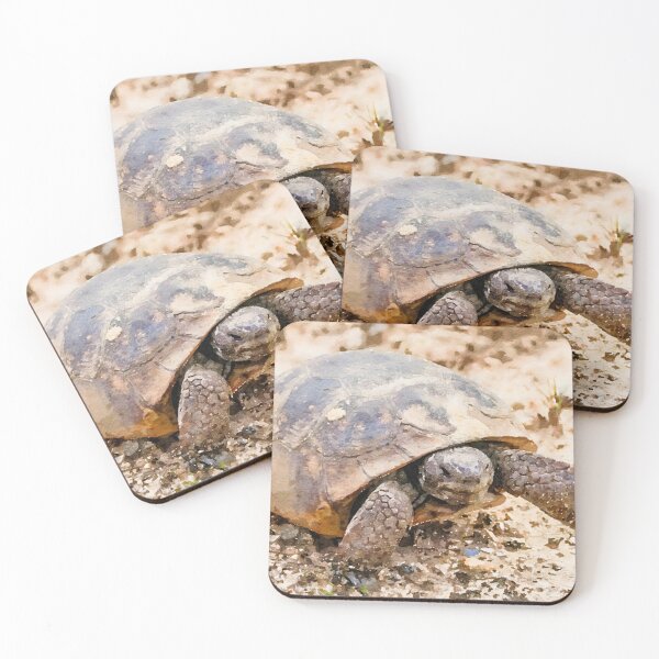 Item preview, Gopher Tortoise designed and sold by Susan Rydberg.