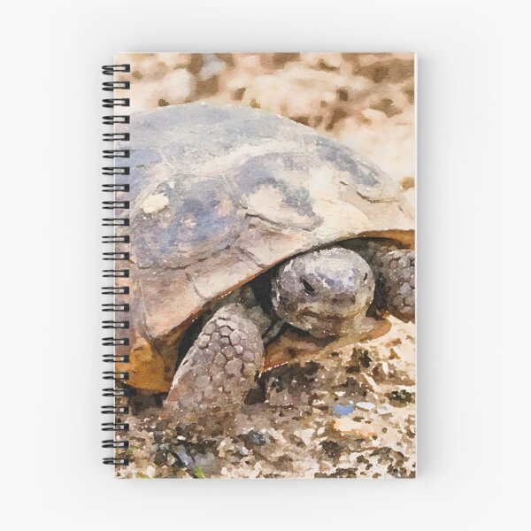 Item preview, Gopher Tortoise designed and sold by Susan Rydberg.