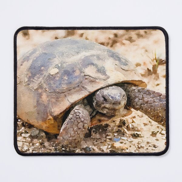 Item preview, Gopher Tortoise designed and sold by Susan Rydberg.