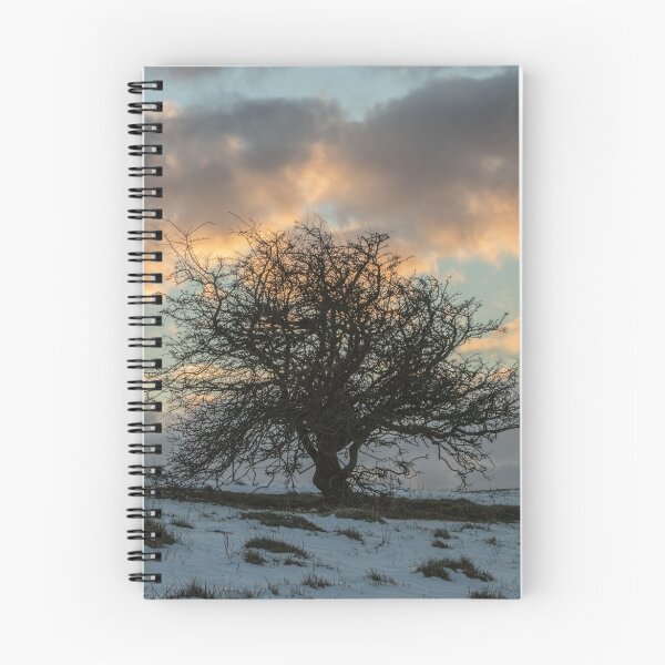 Item preview, Lonely tree sunrise designed and sold by lyttonimages.