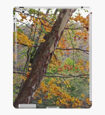 Cuyahoga Camouflage iPad Case/Skin