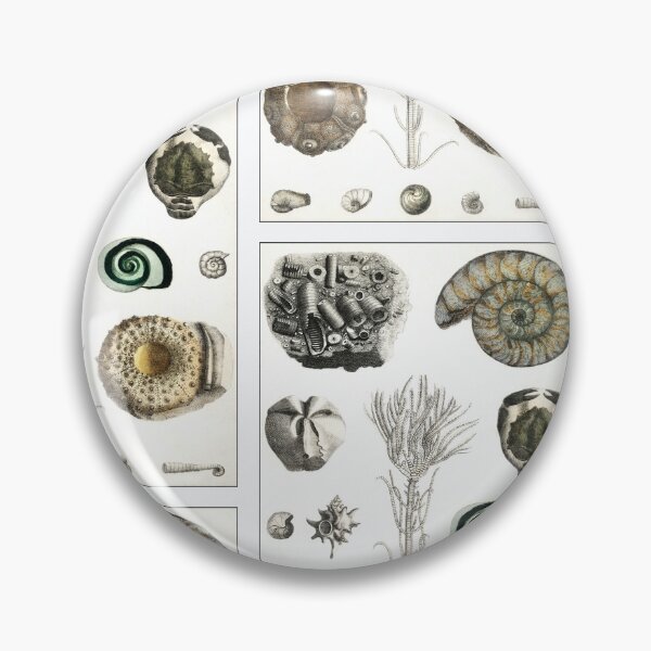 Item preview, Vintage Sea Fossils designed and sold by NineVi.