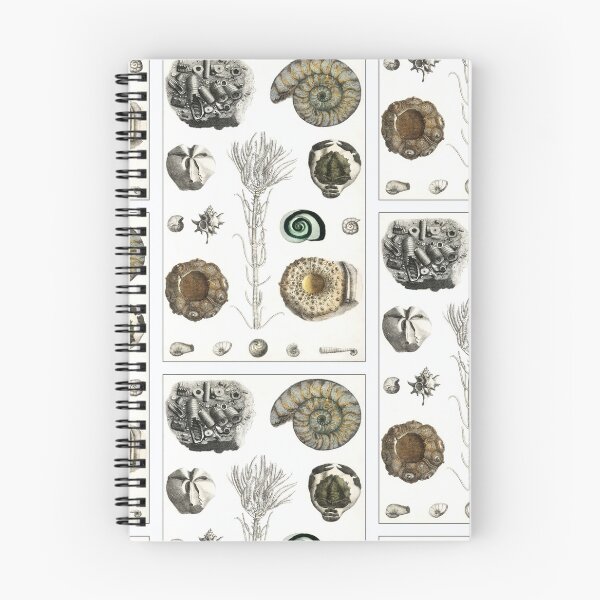 Item preview, Vintage Sea Fossils designed and sold by NineVi.