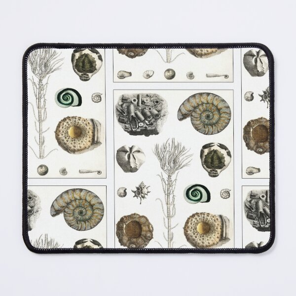 Item preview, Vintage Sea Fossils designed and sold by NineVi.