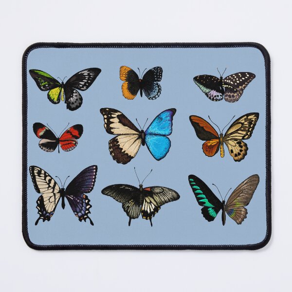 Item preview, Gynandromorph Butterflies designed and sold by sydneyonearth.