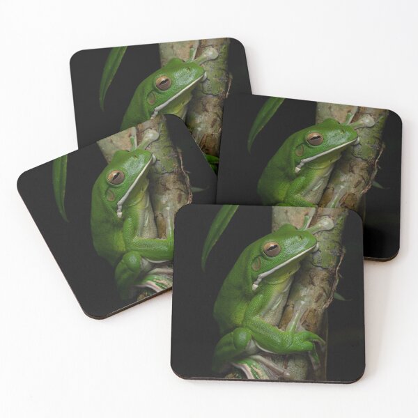 Item preview, White-lipped Tree Frog (Litoria infrafrenata) - the world's largest tree frog designed and sold by Trent Townsend.