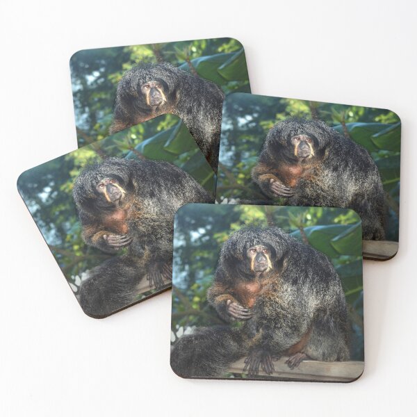 Item preview, Female Monkey designed and sold by Savannah Gibbs.