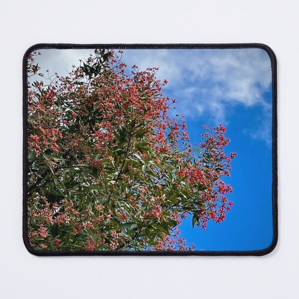 Item preview, Red Xmas Bush Sky designed and sold by KazM.