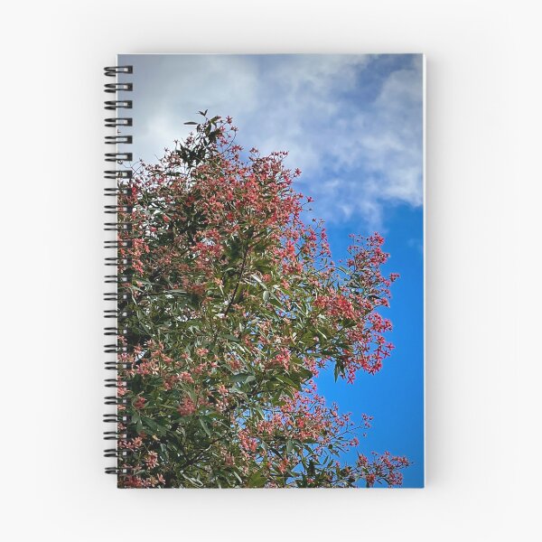 Item preview, Red Xmas Bush Sky designed and sold by KazM.